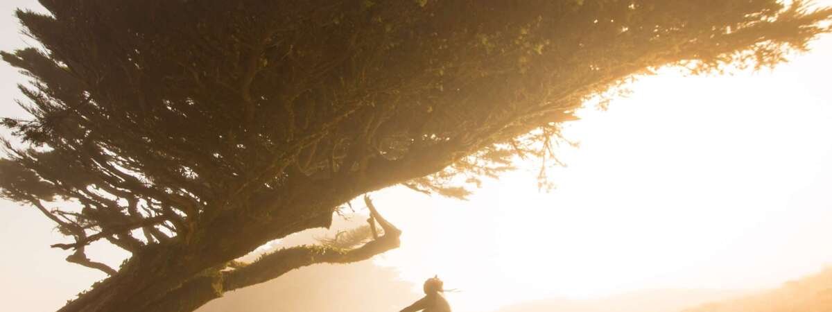 Get inspired by these films for Earth Day