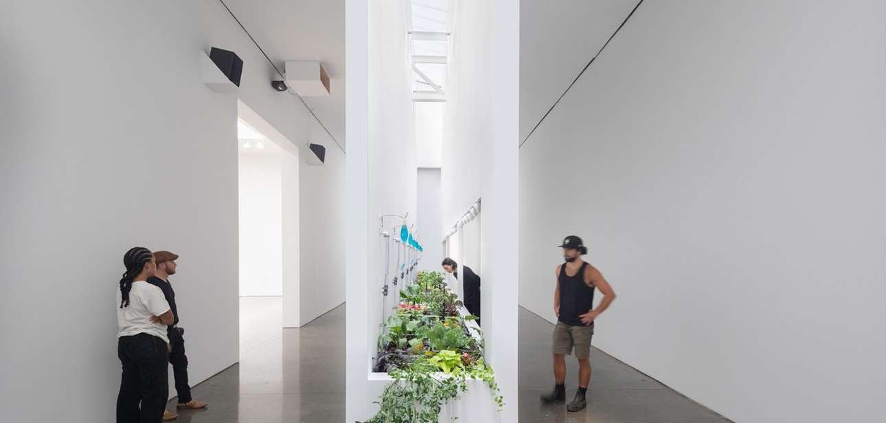 Freshly grown produce becomes sustainable art at Gagosian Gallery