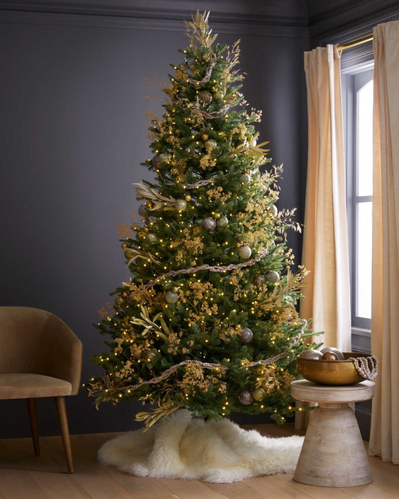 Quince Fraser Fir Christmas Tree: Unlit