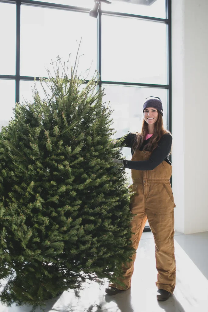 Douglas Fir Christmas Tree Delivery