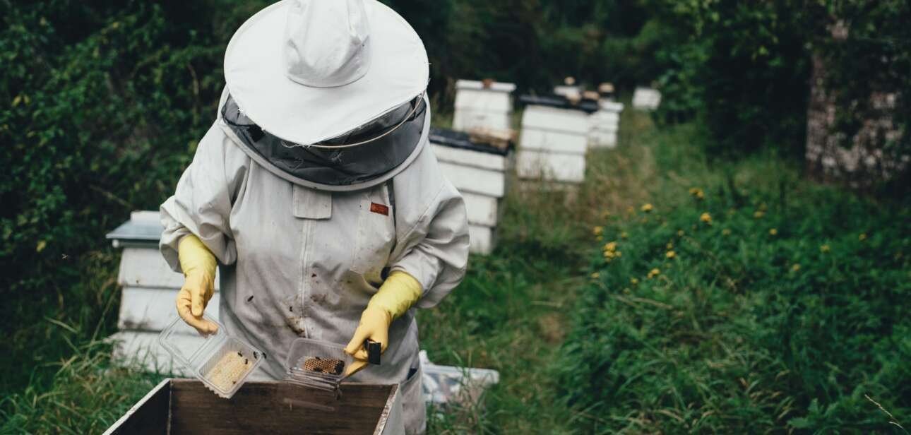 A bee keeper. Image: Annie Spratt