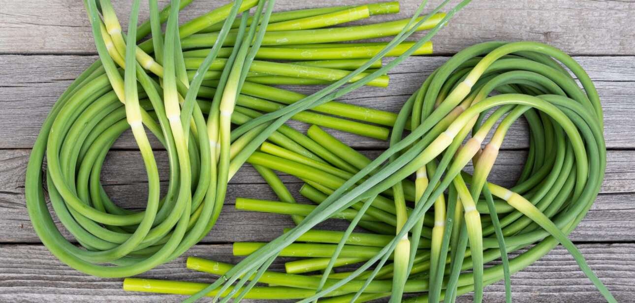 Garlic scapes photo