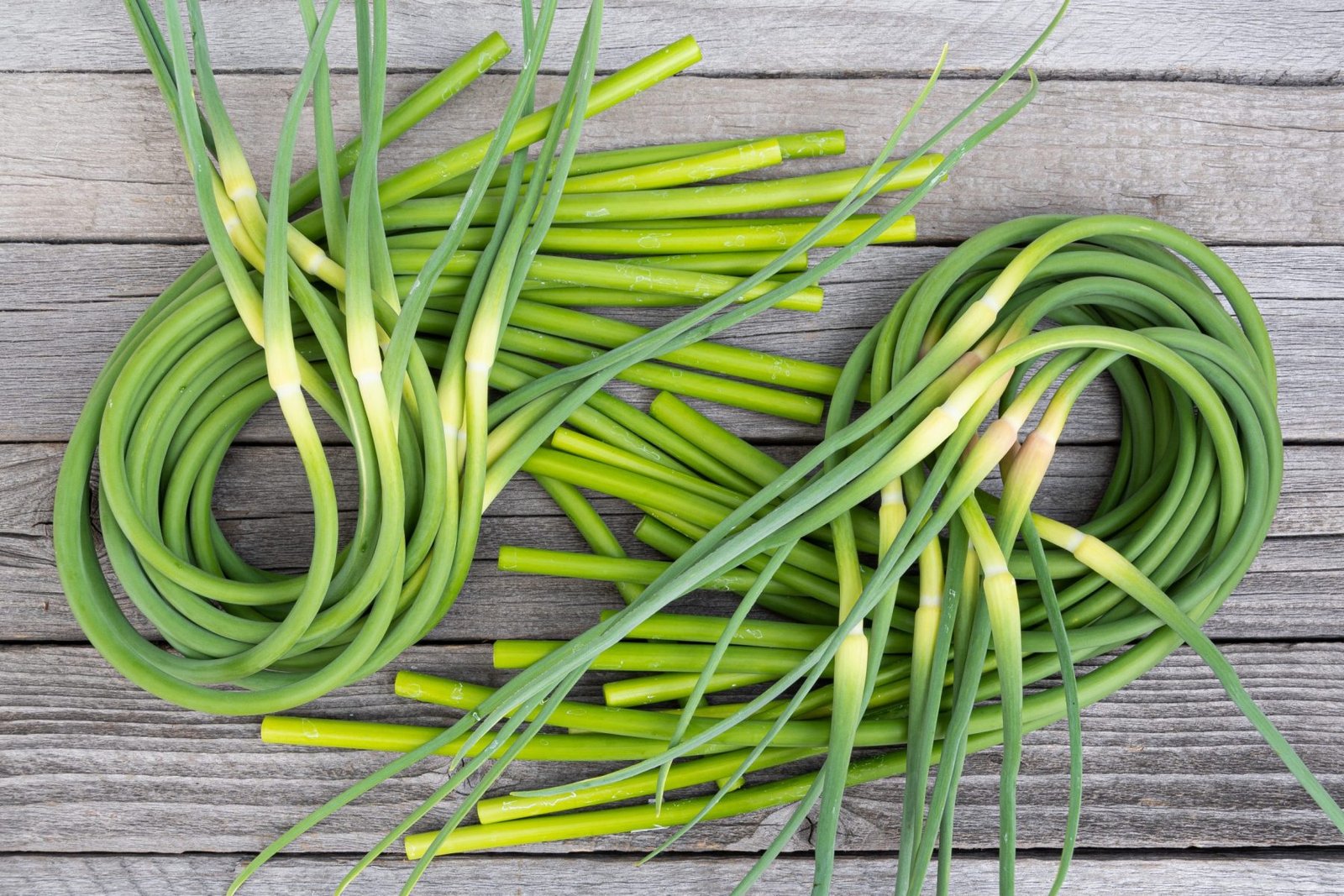 Garlic scapes photo
