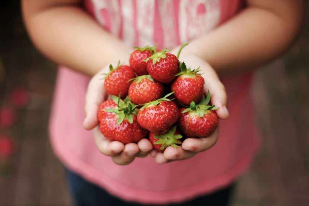Weeknight dinners are easy with seasonal produce.