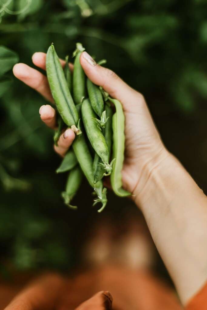 Weeknight dinners are easy with fresh seasonal produce.