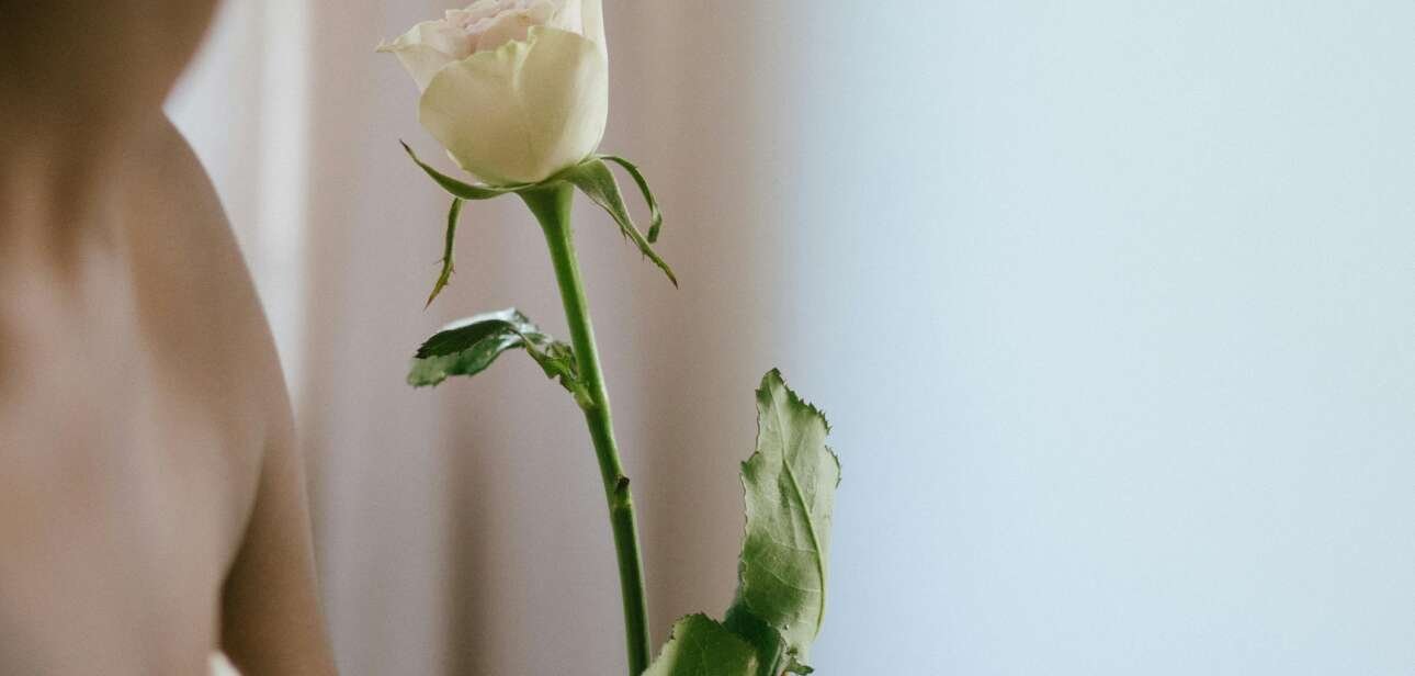 The most sustainable and best flowers for Valentine's Day