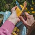 How To Eat Beet Leaves & 6 Other Edible Leaves & Peels